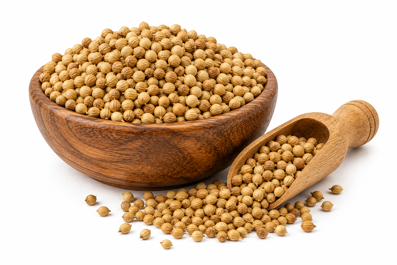 Coriander